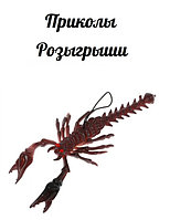 Приколы, розыгрыши